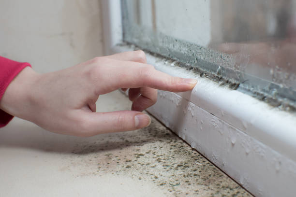 Best Post-Remediation Verification Testing  in Glen Cove, NY