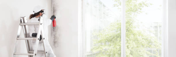 Best Mold Prevention Services  in Glen Cove, NY